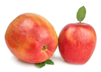 Red Apple isolated on white