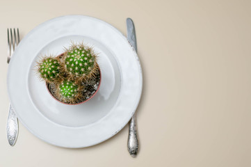 Unhealthy food concept. Heartburn, gastritis, an ulcer from harmful food. Cactus on a plate on a light background.