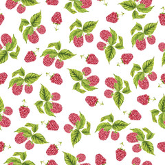 Seamless pattern with red raspberry and fresh green leaves on white background. Hand drawn watercolor illustration.