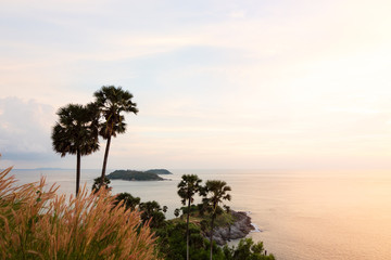Sunset with sky, palm tree, grass over tropical sea at Phromthep cape viewpoint in Phuket Thailand.