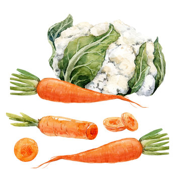 Watercolor carrot and cauliflower set