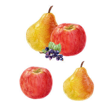 Watercolor fruit composition