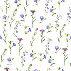Seamless pattern with bellflowers and other summer plants on white background. Hand drawn watercolor illustration.
