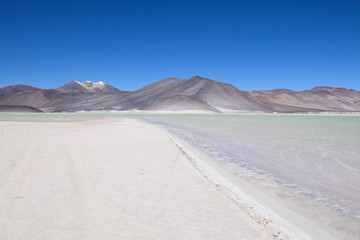Fototapeta na wymiar Salar de Talar at Atacama desert (Chile)