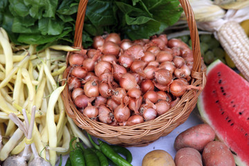 Obraz premium Garden harvest of homegrown produce