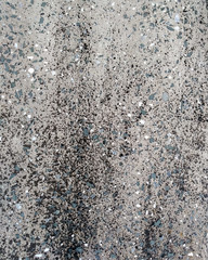 Stone grey texture with multicolored impregnations background