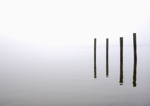 USA, Massachusetts, Cape Cod, Eastham, Wooden posts in fog