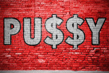 Pussy with Dollar Signs $ Ziegelsteinmauer Graffiti