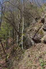 Naturwasserfall Todtnauberg