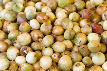 small onions at traditional street bazaar