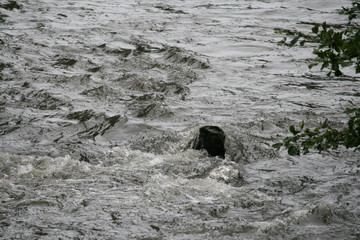 Stromschnellen - Fluss