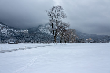 Winter in Bavaria - Schwangau - Neuschwanstein Castle..Winter in Bayern - Schwangau - Schloss Neuschwanstein.