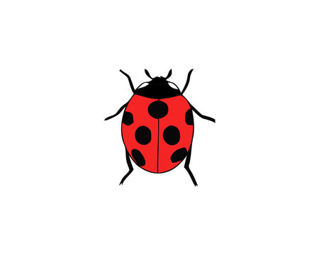 Ladybird on white background. Cute cartoon ladybug icon.
