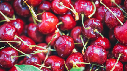Lush Red Cherry