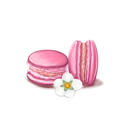 donuts cheesecake sushi roll smoothie produce macaroon corn cake doughnut