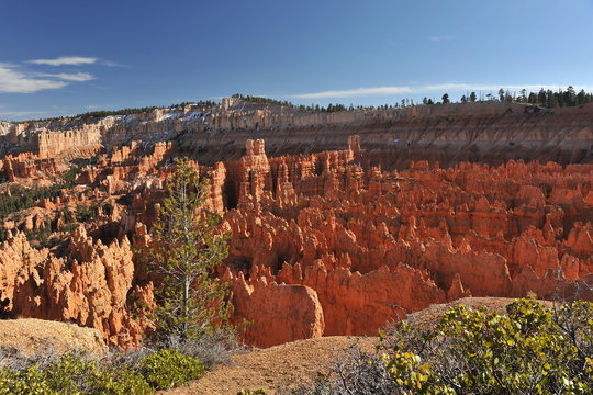 
USA. Bryce Canyon on a sunny spring day
