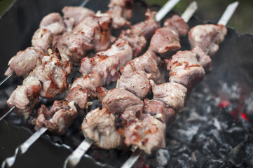 Traditional shish kebab on hot coals