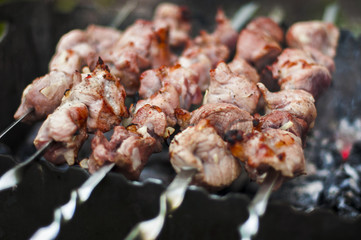 Traditional shish kebab on hot coals