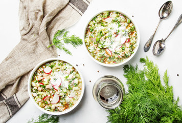 Okroshka - Traditional Russian cold summer soup with vegetables, meat and herbs, dressed with bread kvass and kefir, white background, top view
