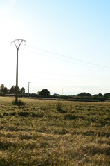Paisaje, Torrejon de Velasco