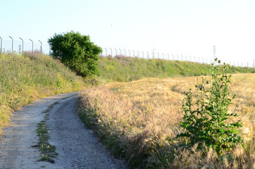 Paisaje, Torrejon de Velasco