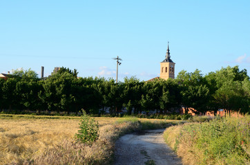 Paisaje, Torrejon de Velasco