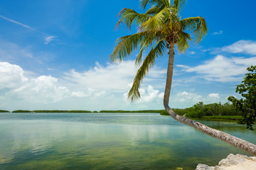 Scenic Florida Keys