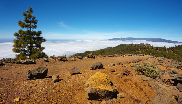 Landscape in the Island of La Palma with a crater Caldera de Taburiente on backgroud, Canary Islands, Spain