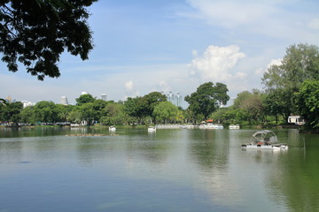 ルンピニー公園の池とバンコクの高層ビル
