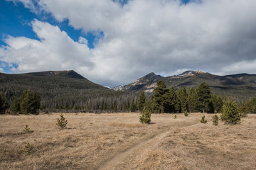 Fototapeta premium Meadow with trees and mountains in background with blue sky and white puffy clouds at Colorado Rocky Mountain National Park.