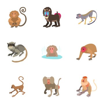 Monkey icons set. Cartoon set of 9 monkey vector icons for web isolated on white background