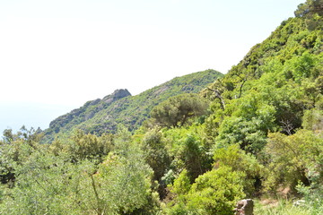 Fototapeta na wymiar Mountain side with plenty of greenery on a clear sunny day.