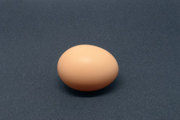 Egg on black background 