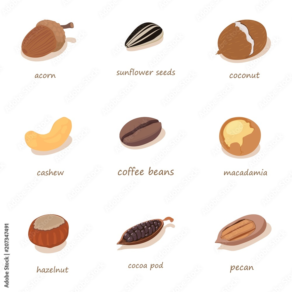 Poster hazel icons set. cartoon set of 9 hazel vector icons for web isolated on white background