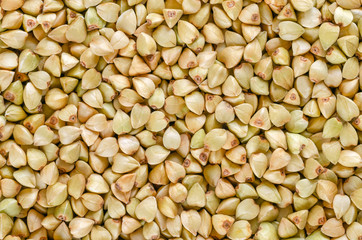Hulled common buckwheat grains, macro photo, from above. Gluten free pseudocereal. Fagopyrum esculentum, also known as Japanese or silverhull buckwheat. Dried seeds. Food photo, close up.