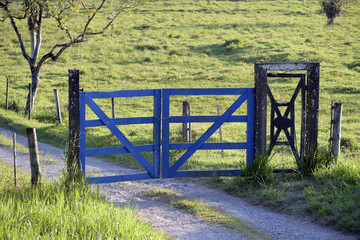Blue farm gate with dirt road and trees