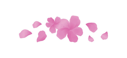Fototapeta na wymiar Sakura Pink flowers and flying petals isolated on White background. Apple-tree flowers. Cherry blossom. Vector