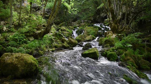 Fast and clear mountain river flowing over rocks covered with moss