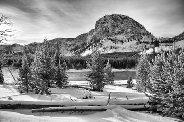 Yellowstone NP