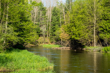 Fototapeta premium Betsy River, Michigan