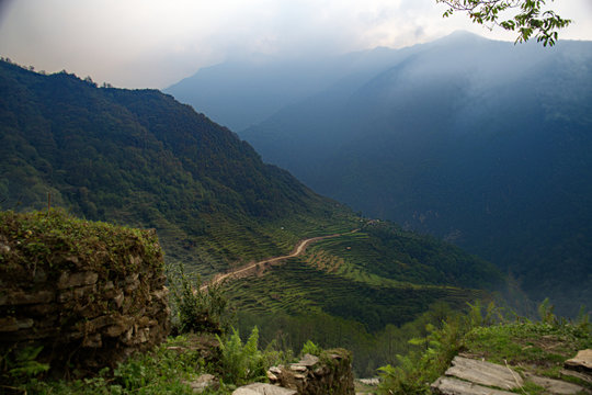 Nepalese Terraces A