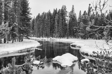 Yellowstone NP