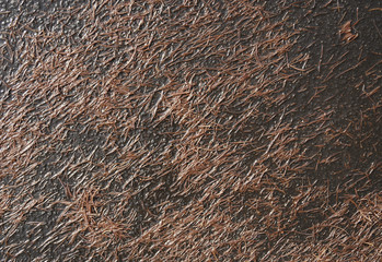 枯れ葉　アスファルト　雨　素材