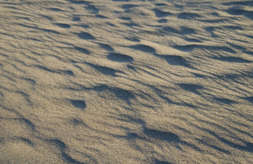 砂浜　夕暮れ　素材