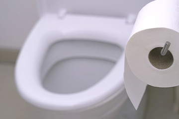 Toilet paper roll and toilet bowl in restroom.