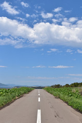青空と真っすぐな道