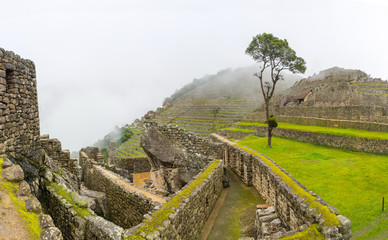Awesome Panoramic view of Machu Picchu's citadel ruins, in Peru