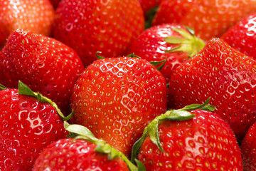 真っ赤に熟した苺