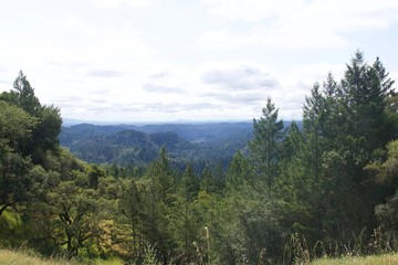 Armstrong Redwoods State Natural Reserve, California,  United States - to preserve 805 acres (326 ha) of coast redwoods (Sequoia sempervirens). The reserve is located in Sonoma County, Guerneville.
