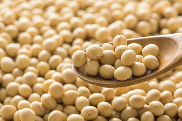 スプーンですくった大豆